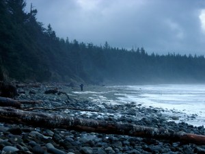Walking fast to get off the beach as the tide was coming in.