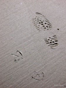 Genetic engineering gone awry...