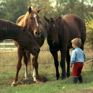 Michael with Horses at Danny's