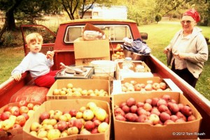 Michael, Oma, and the Apples