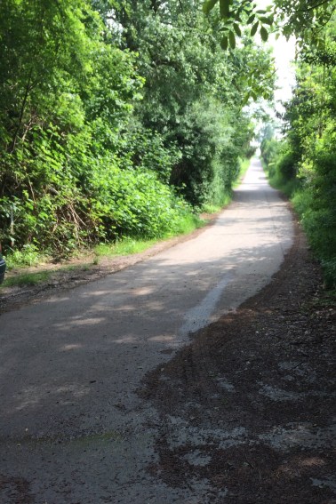 Looking up the hill I came rocketing down. The turn looks gentle from here, but swing left (for the photo below), and take it at speed, and it gets interesting.